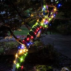 5050642100786 1 Smart Multicoloured Solar Powered Garden String Lights.jpg